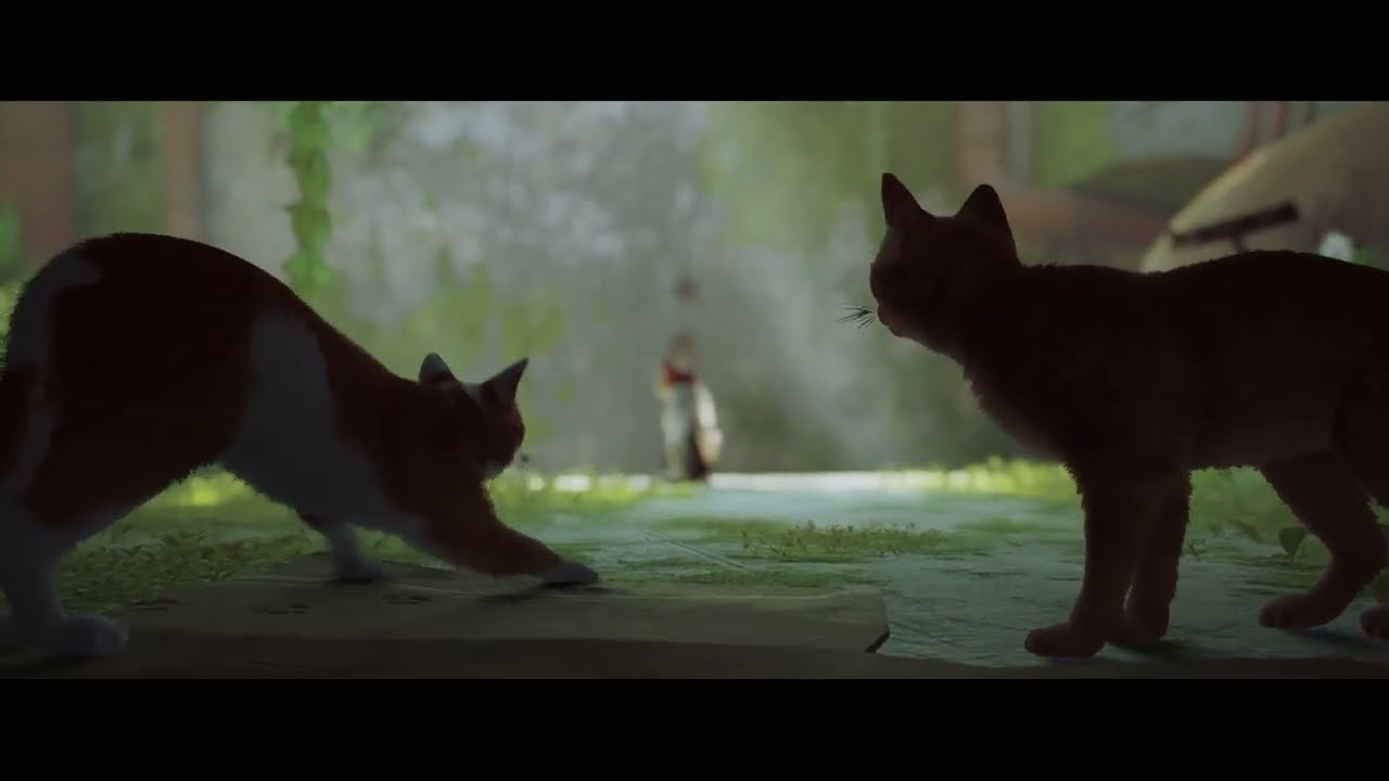 VOD Découverte de Stray | On devient un potit chat | épisode 1