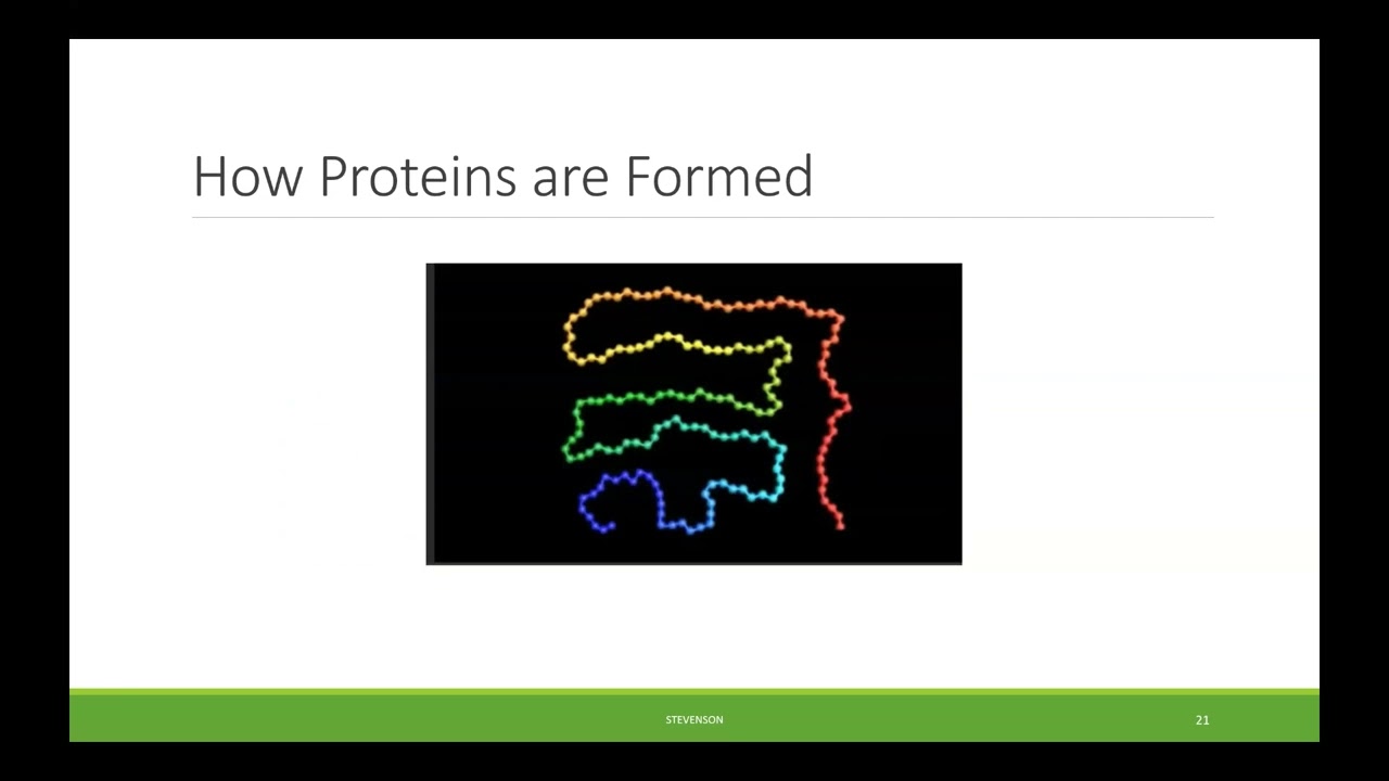 BIO100 Chapter 9 - Molecular Biology