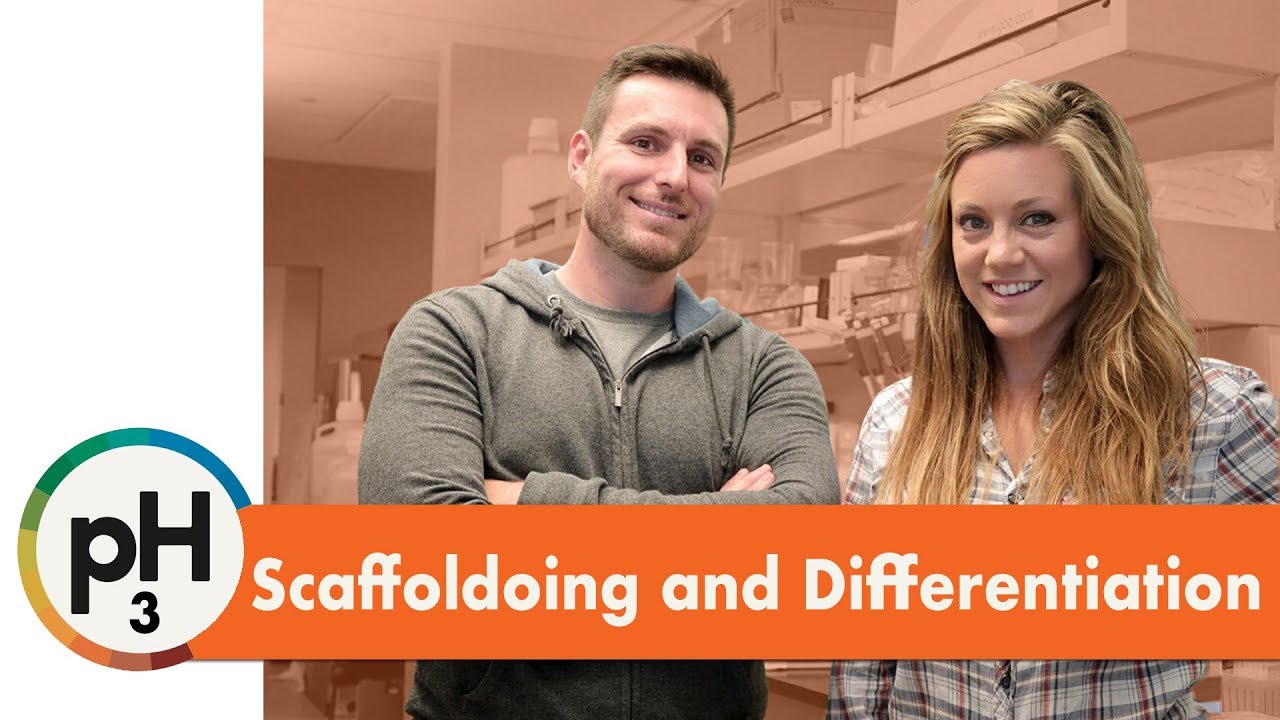 Scaffolding and Differentiation - The Pedagogy Hypothesis Episode 3