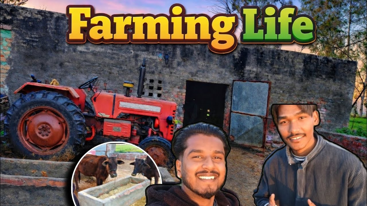 Farming Life 😁|| With Cheema Z 😂|| Punjab Vlog