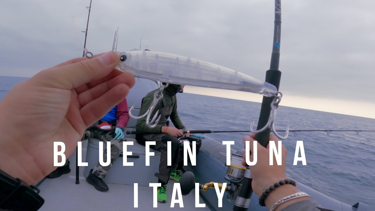 Top Water Tuna! Malosi Game Changer Lure 🤯