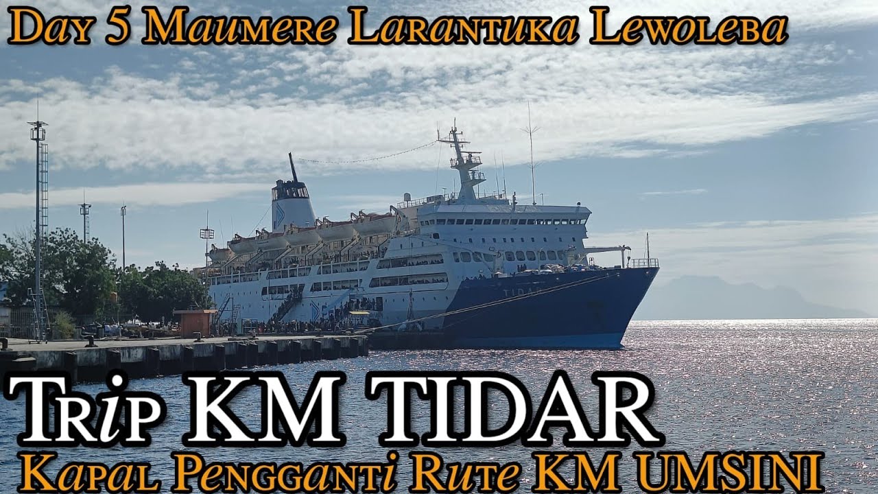 (Day 5 KM Tidar) Cerita di Maumere.
