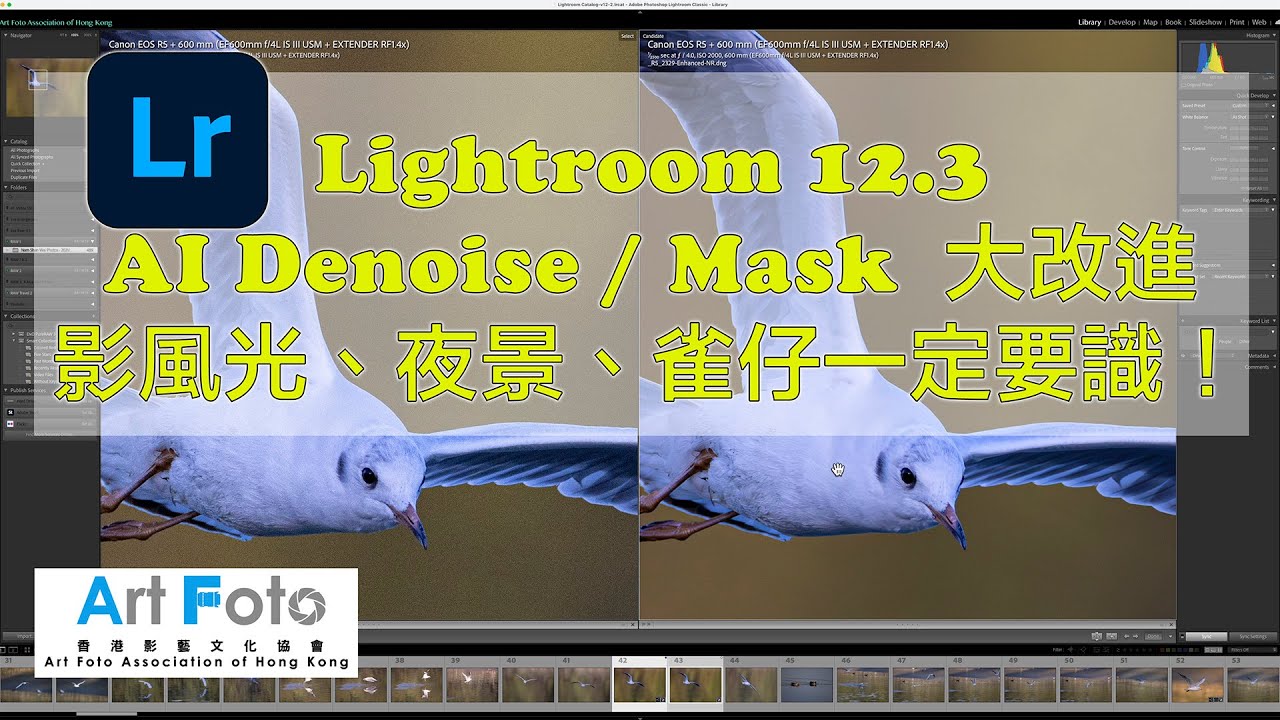 【攝影教學 #295】Lightroom 12.3 AI Denoise ＆ Mask 大改進，影風光、夜景、雀仔一定要識！ - Alex Fung FRPS, GMPSA, EFIAP/p