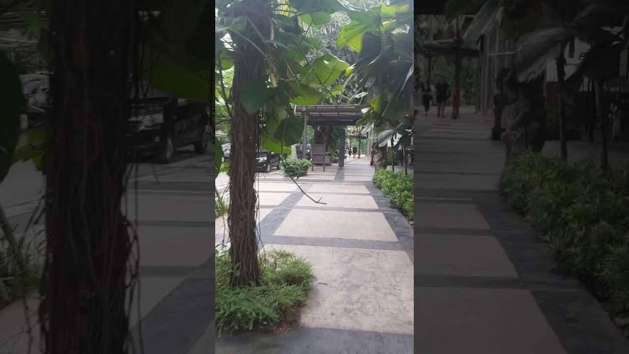 the BREEZE, BSD City