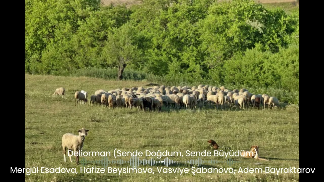 Deliorman - Mergül Esadova, Hafize Beysimova, Vasviye Şabanova, Adem Bayraktarov