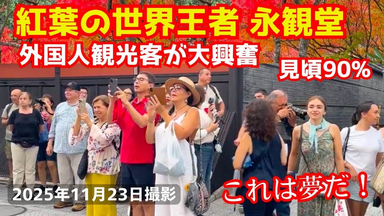 京都の紅葉の王者である永観堂がバリ混雑する 外国人観光客も秋のもみじを間近で見てビックリする