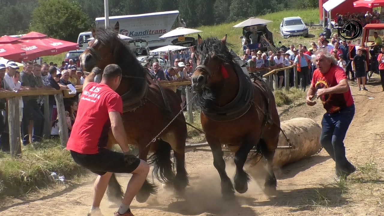 - ZIS ŠAMPION SREDNJIH PAROVA U DRINIĆU -
