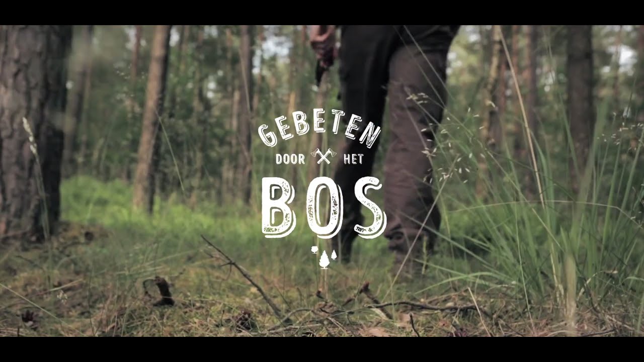 Wat doet een boswachter precies? - Boswachter Steve legt uit.