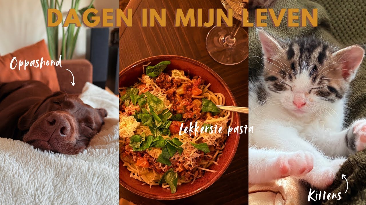 Hoe het solliciteren nu gaat 🙈