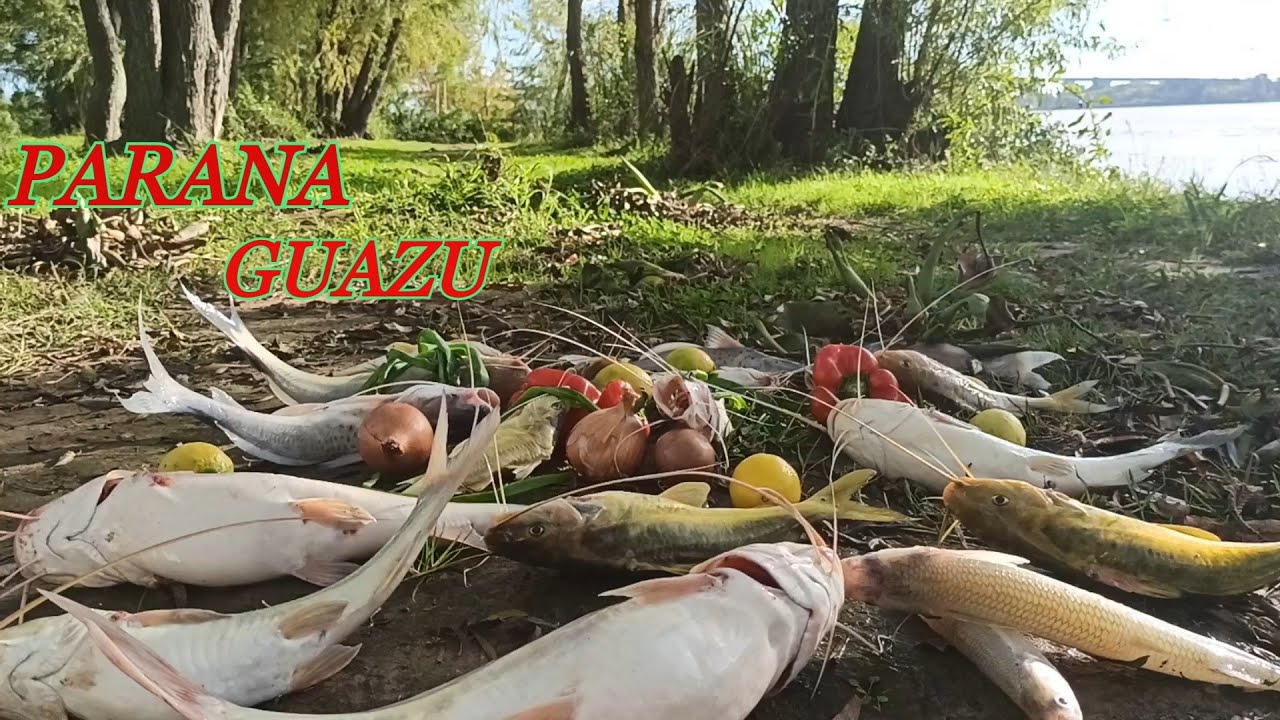ESTE LUGAR ESTA REPLETO DE BAGRES GRANDES..PESQUERO MARITO EL MULATO..