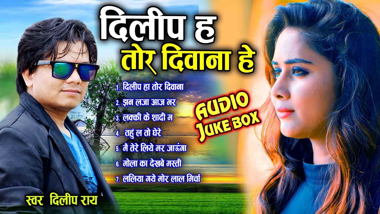 दिलीप राय Dilip ray | Cg Song | Dilip Ha tor Diwana He | Audio Juke Box | New Chhattisgarhi Geet