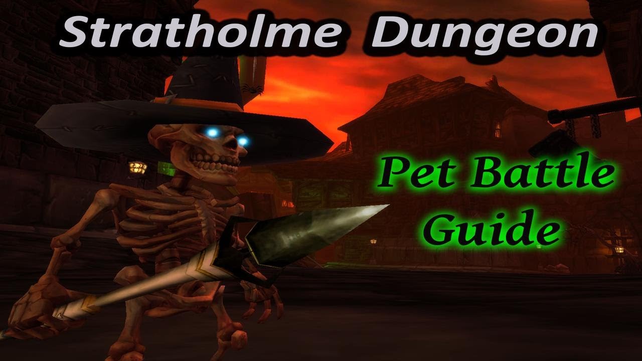 Stratholme Pet Battle Dungeon Guide (Includes the Optional Bonus Fights)