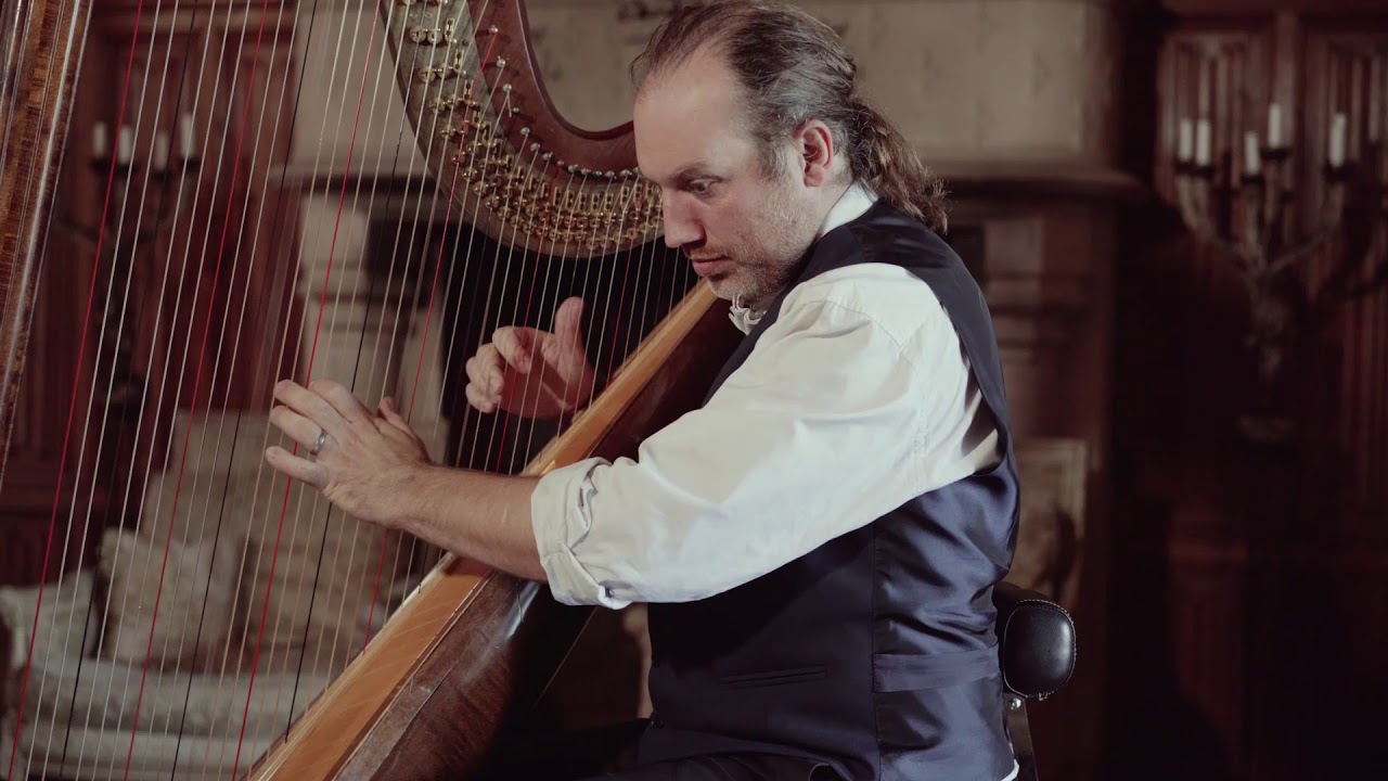 Love theme / Ennio Morricone / harp Cover François Pernel