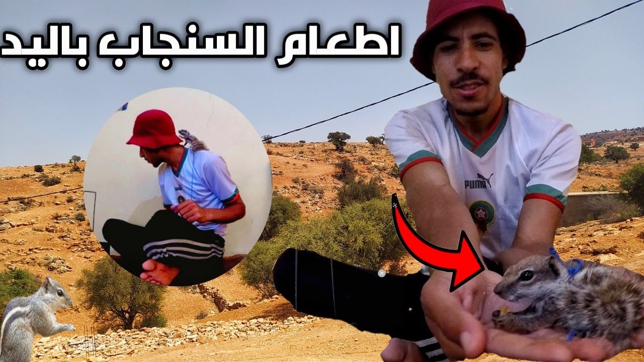 يوم كامل مع سنجاب 🐿️ اطعام السنجاب باليد 🐿️😱 لكي يتأقلم 😱
