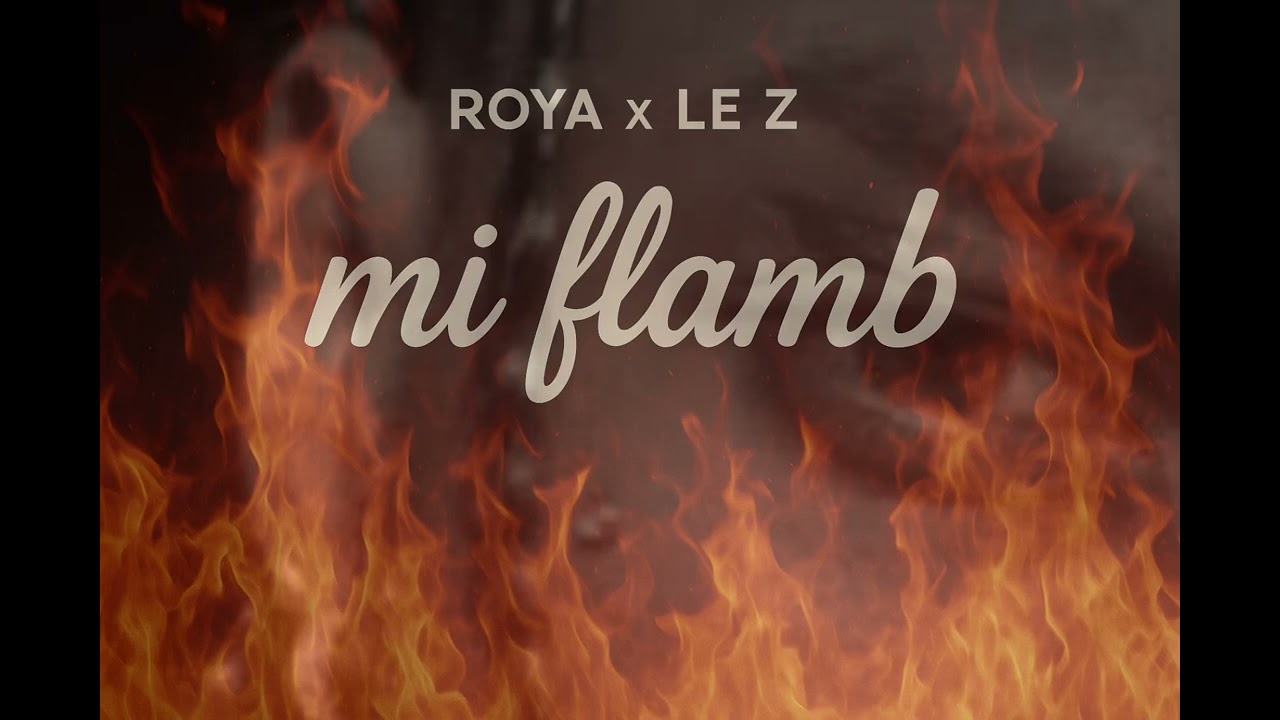 &rdquo; Mi flamb &rdquo; Roya x Le Z 