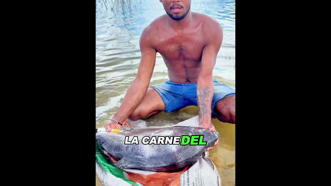 Using this method to fry the fish will make it very delicious. #animals #Friendship #Us  #fishing