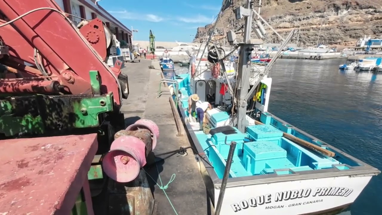 Puerto de Mogan 🌴⛴️🐟