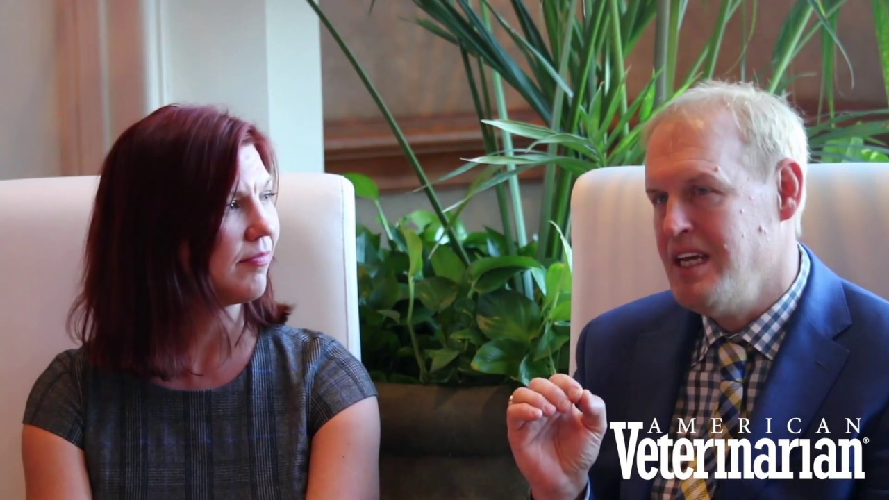 Veterinary Dentistry Cannot Be Done Without Anesthesia