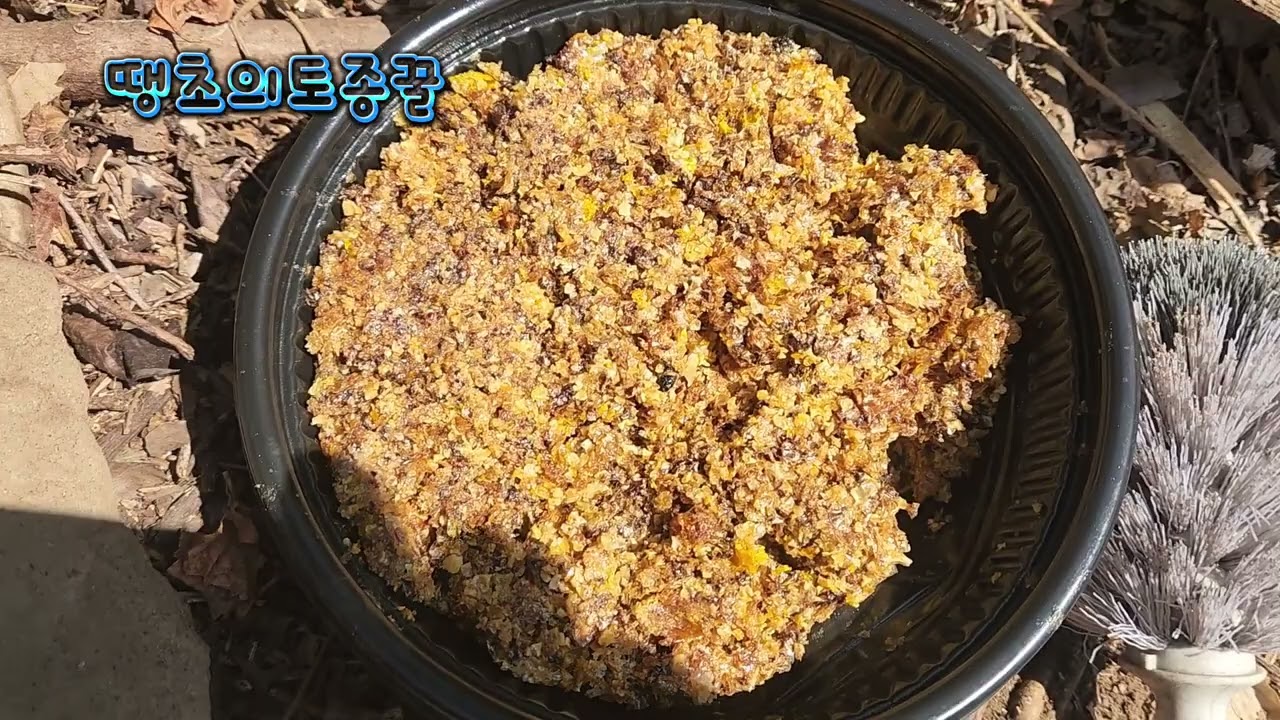 토종벌 이렇게 하면 100프로 입주 합니다 ~재래식 환태통 설치시 꿀팁~