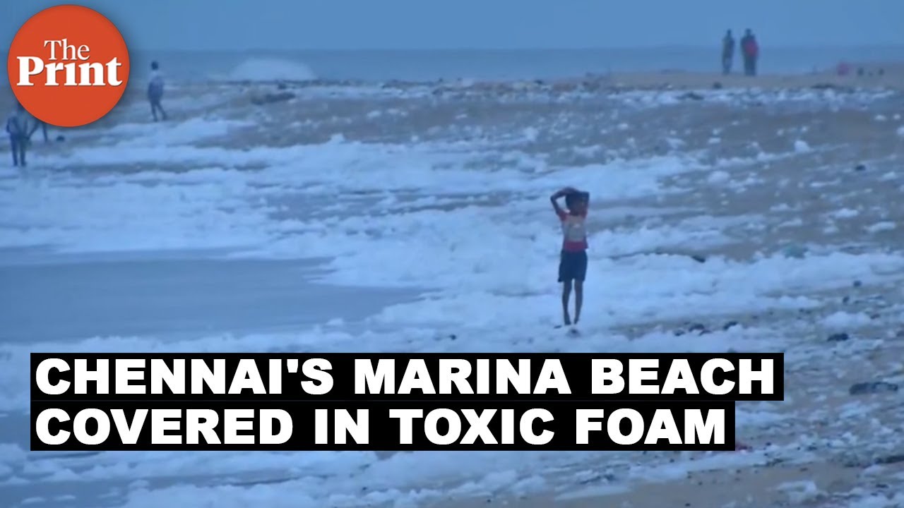 Chennai's Marina Beach covered in toxic foam