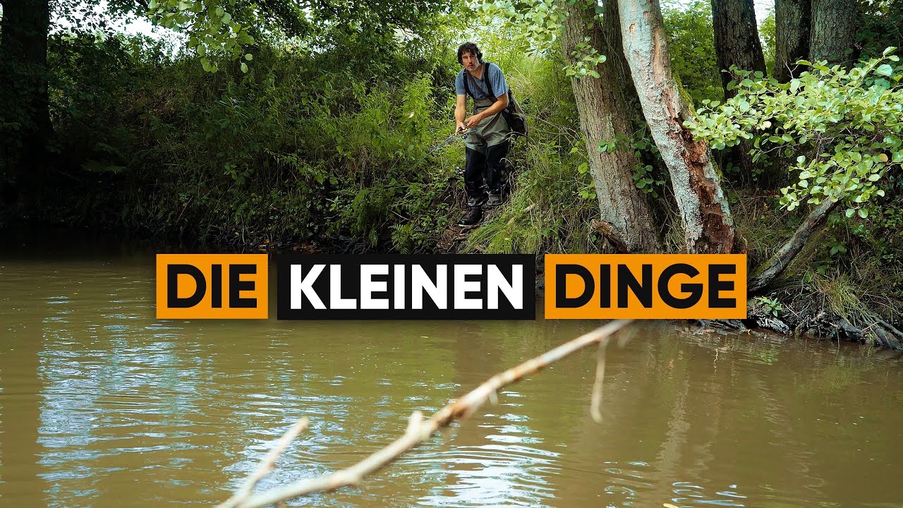 Traumhaftes Angeln am kleinen Bach!