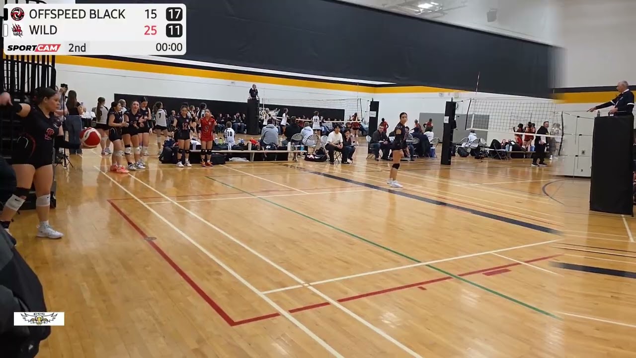Set 2 HIGHLIGHTS