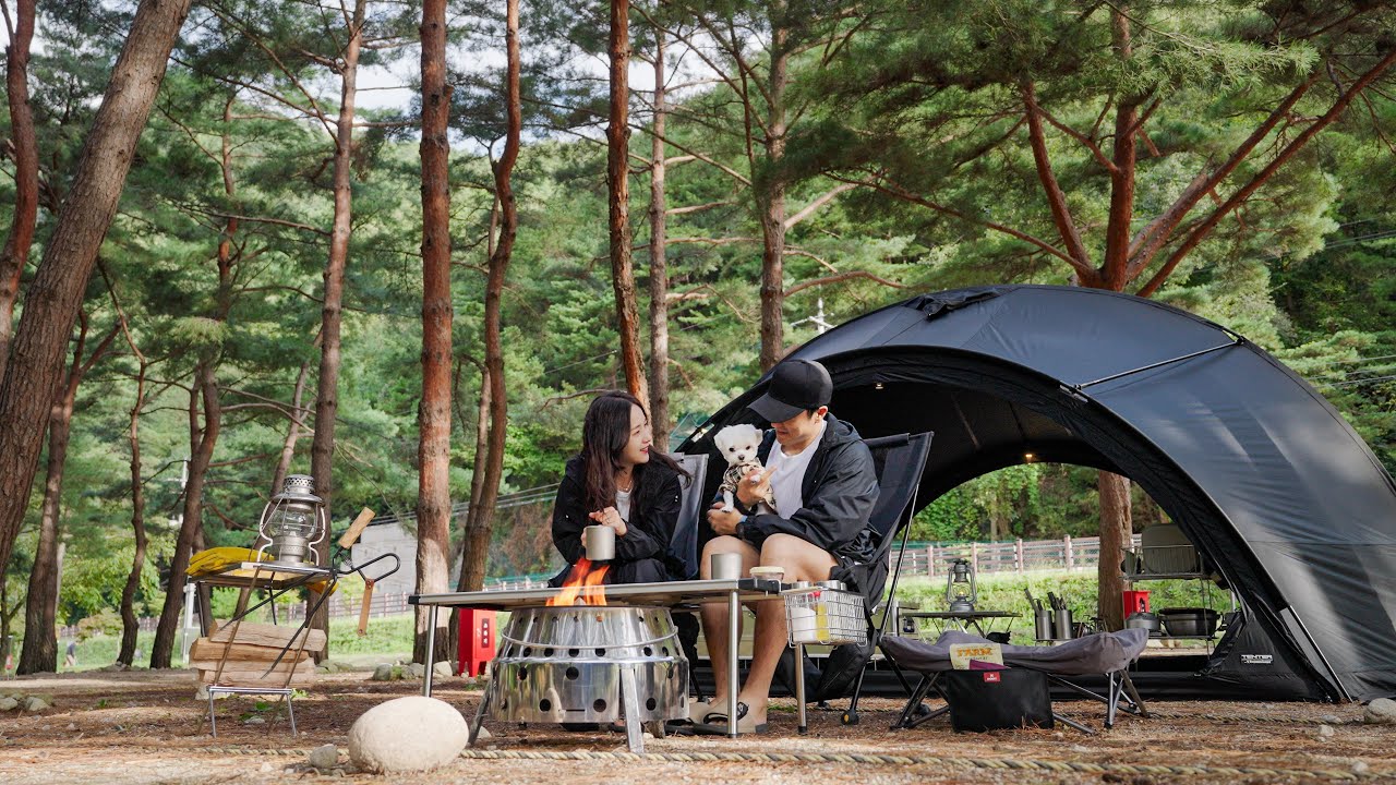 Camping in Peaceful Pine Forest with our dog | Nature Sounds | Sleek Black Tent | [ASMR][4K]