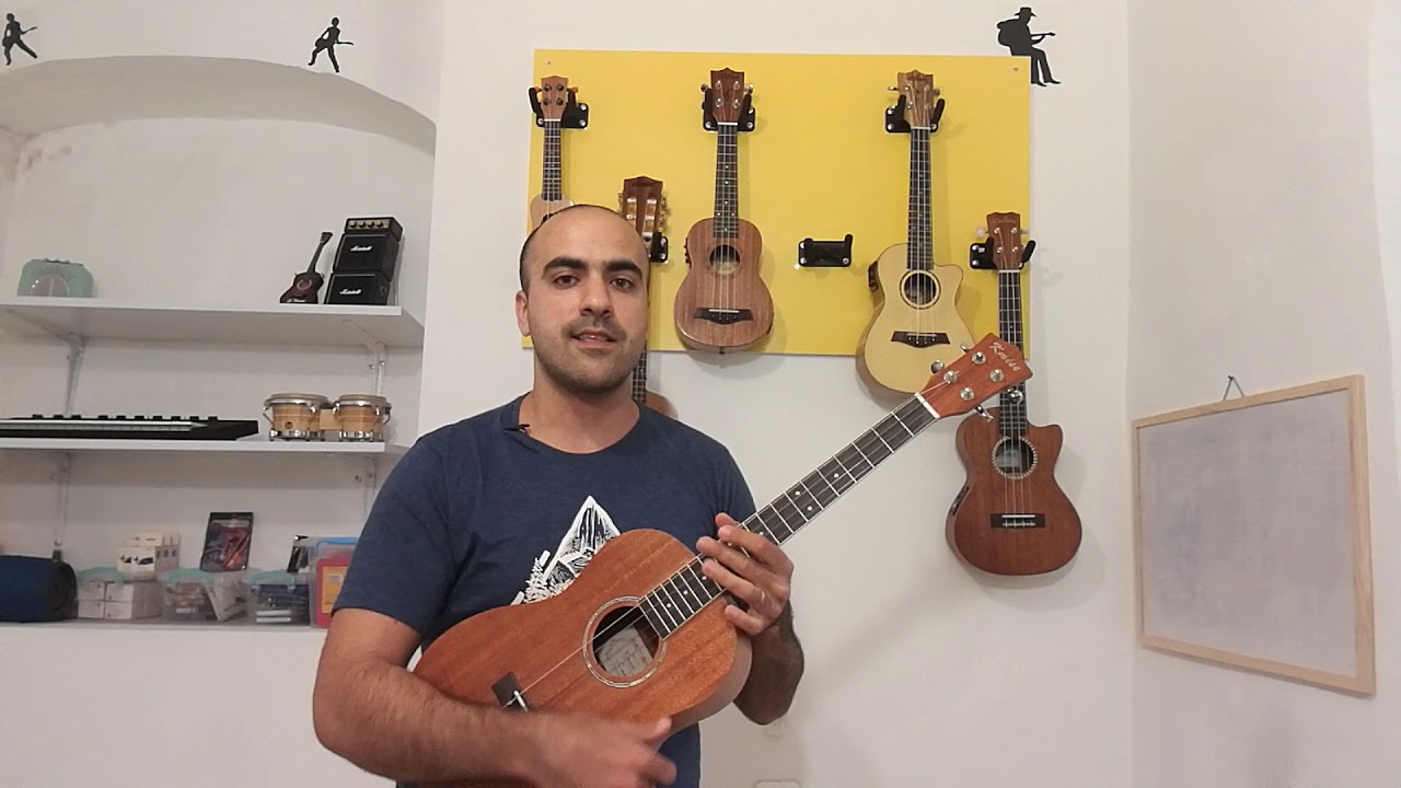 6 סוגי יוקלילי בגדלים שונים ומה מיוחד בכל סוג