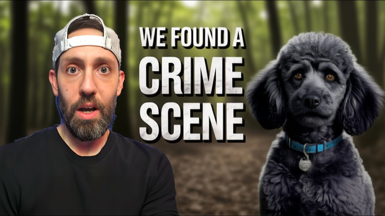 A Peaceful Walk In a Forest Gone Wrong... | Vlog 6 | Part 2