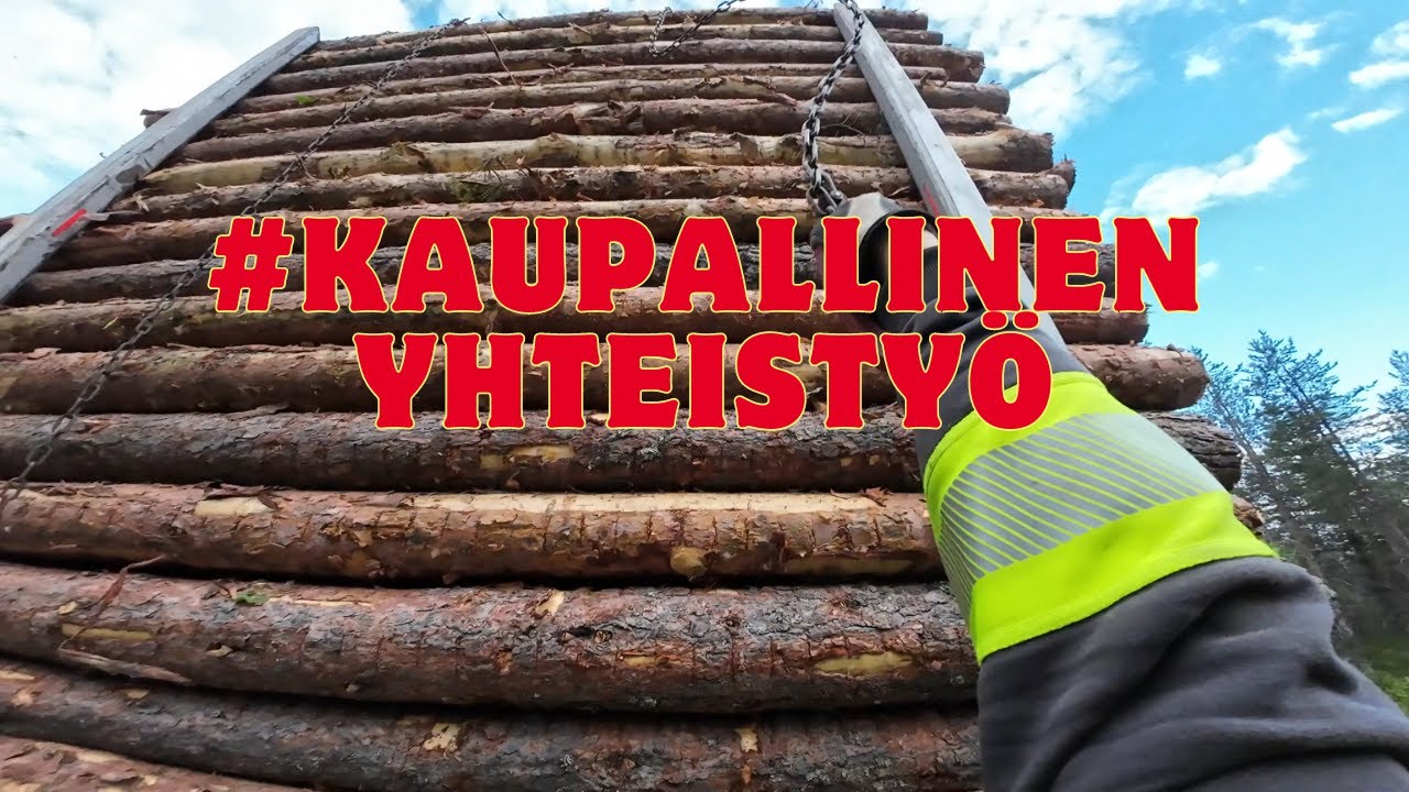 PAITATILAUKSIEN YHTEYDESSÄ TULLUT TOIVEITA PIIITKÄSTÄ VIDEOSTA!!  HÖPINÄÄ KAUPALLISESTA YHTEISTYÖSTÄ