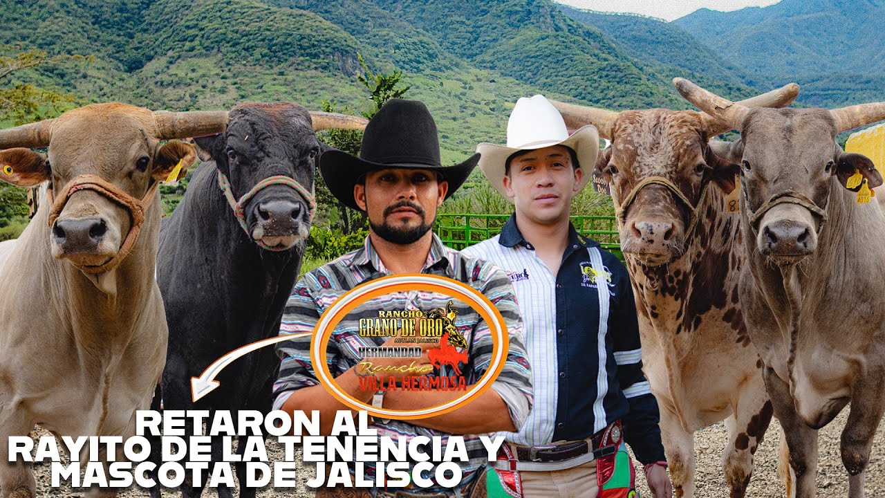 RETAN A RAYITO DE LA TENENCIA Y A MASCOTA DE JALISCO // ESTÁ ES LA HERMANDAD JALISCIENSE 