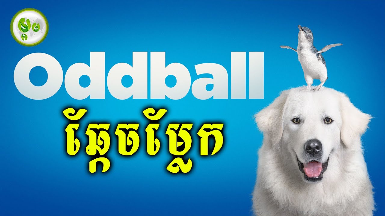 ឆ្កែចម្លែកចេះការពារសត្វផេនឃ្វីន | ម្អម សម្រាយរឿង