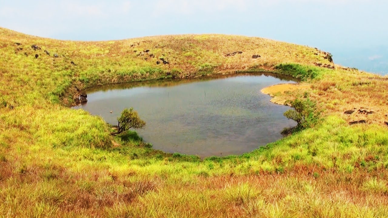 Chembra Peak in Meppady, Trekking, Wayanad