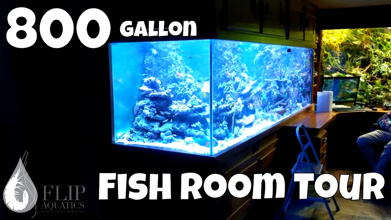 3 Monster Aquariums: 800 gallon Aquarium, 700 and 300 gallon fish tanks... WOW!