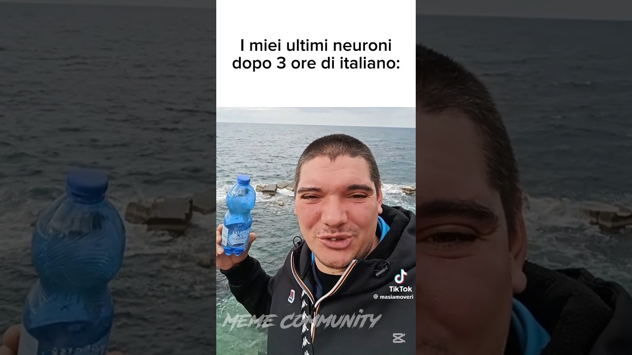 I miei ultimi neuroni 🔥💀 #memeitalia #memeitaliani #memes #ironia #funny