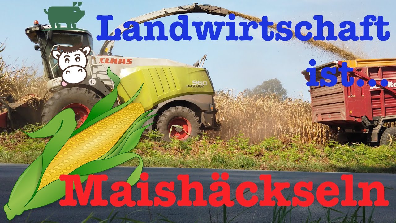 Landwirtschaft ist    🤗Maishäckseln 🌽