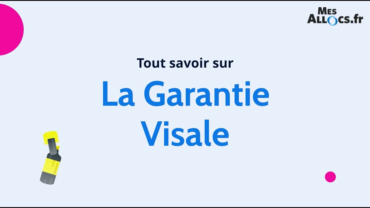 La garantie visale