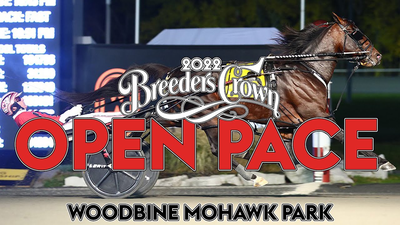 2022 Breeders Crown - Bulldog Hanover - Open Pace