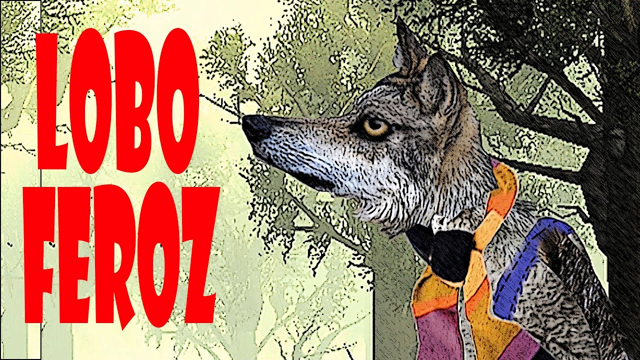 6 CUENTOS INFANTILES DEL LOBO FEROZ: Los tres cerditos, Caperucita Roja y Los Siete Cabritillos