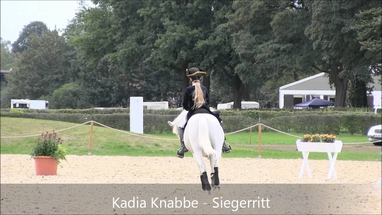 Verdiana 2011 - Landesmeisterschaften Klassisch-barocke Reiterei/Junioren