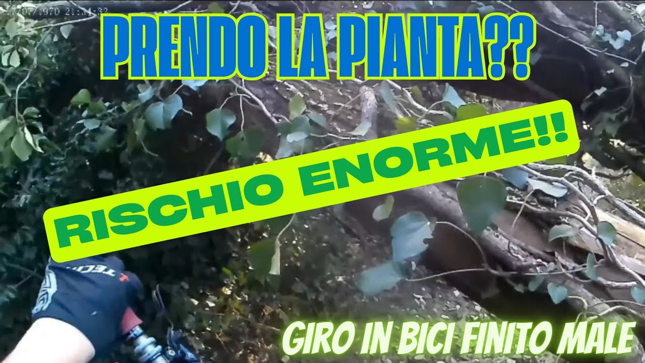 HO PRESO UNA PIANTA IN ENDURO!!🤕/GIRO IN BICI FINITO MALE...