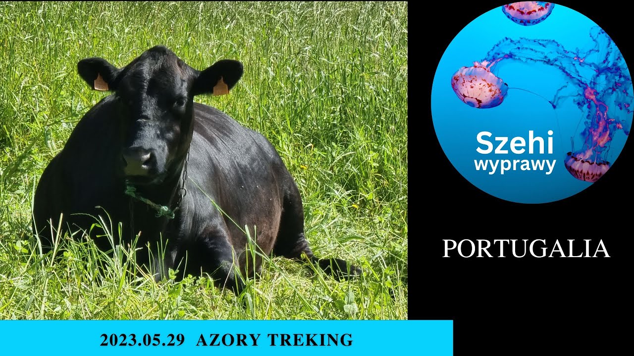2023 05 29  AZORY TREKING