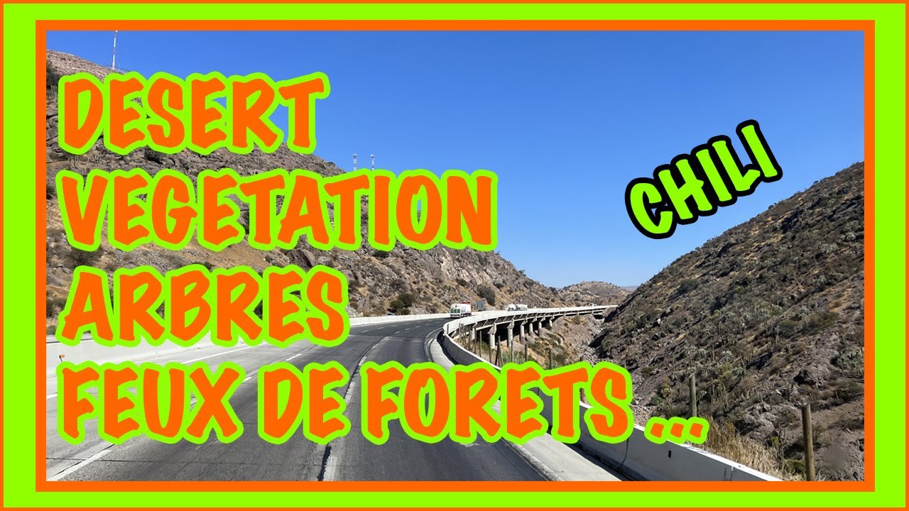 2100 km en 5 jours/ Des paysages changeants: Du désert de sable aux grandes forêts / Vlog à Didi(105