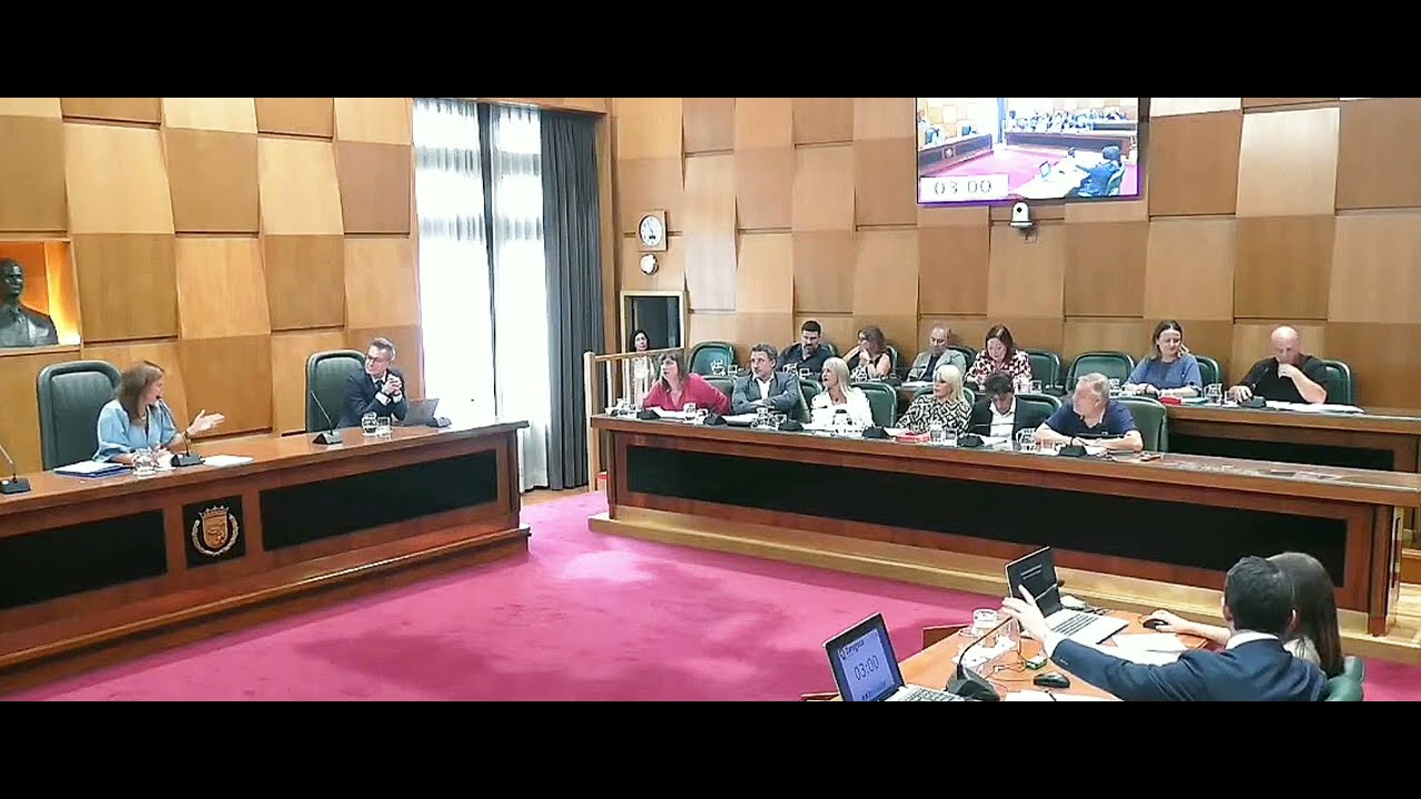 Lola Ranera, portavoz socialista en Zaragoza, interrumpe por un supuesto corte en emisi&oacute;n del pleno