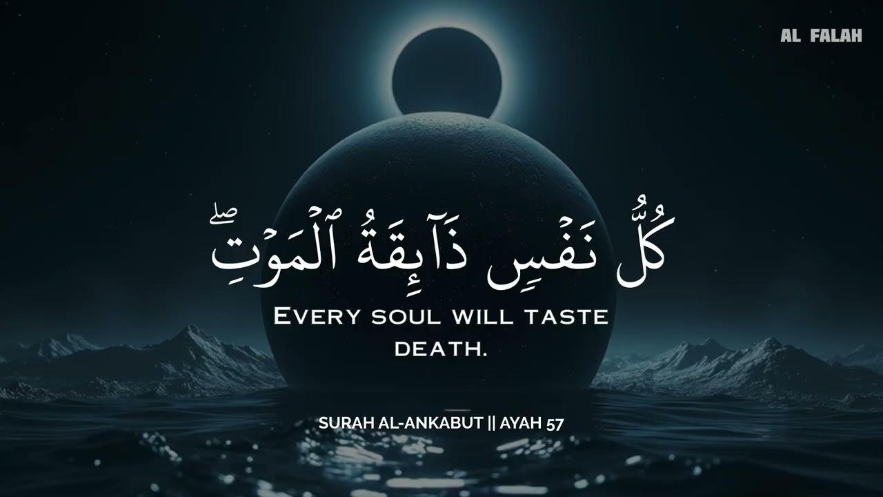ساعة كاملة🕛🎧 | تلاوة تقشعر لها الأبدان بصوت محمد هشام | Reciter Mohamed Hesham | ❤️🎧