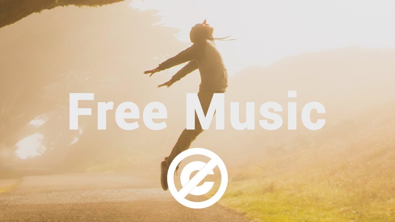 [Non Copyrighted Music] Fredji - Flying High [Deep House]