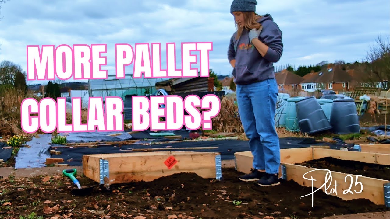 More pallet collar beds & a big shed declutter! || Allotment Gardening || Plot 25