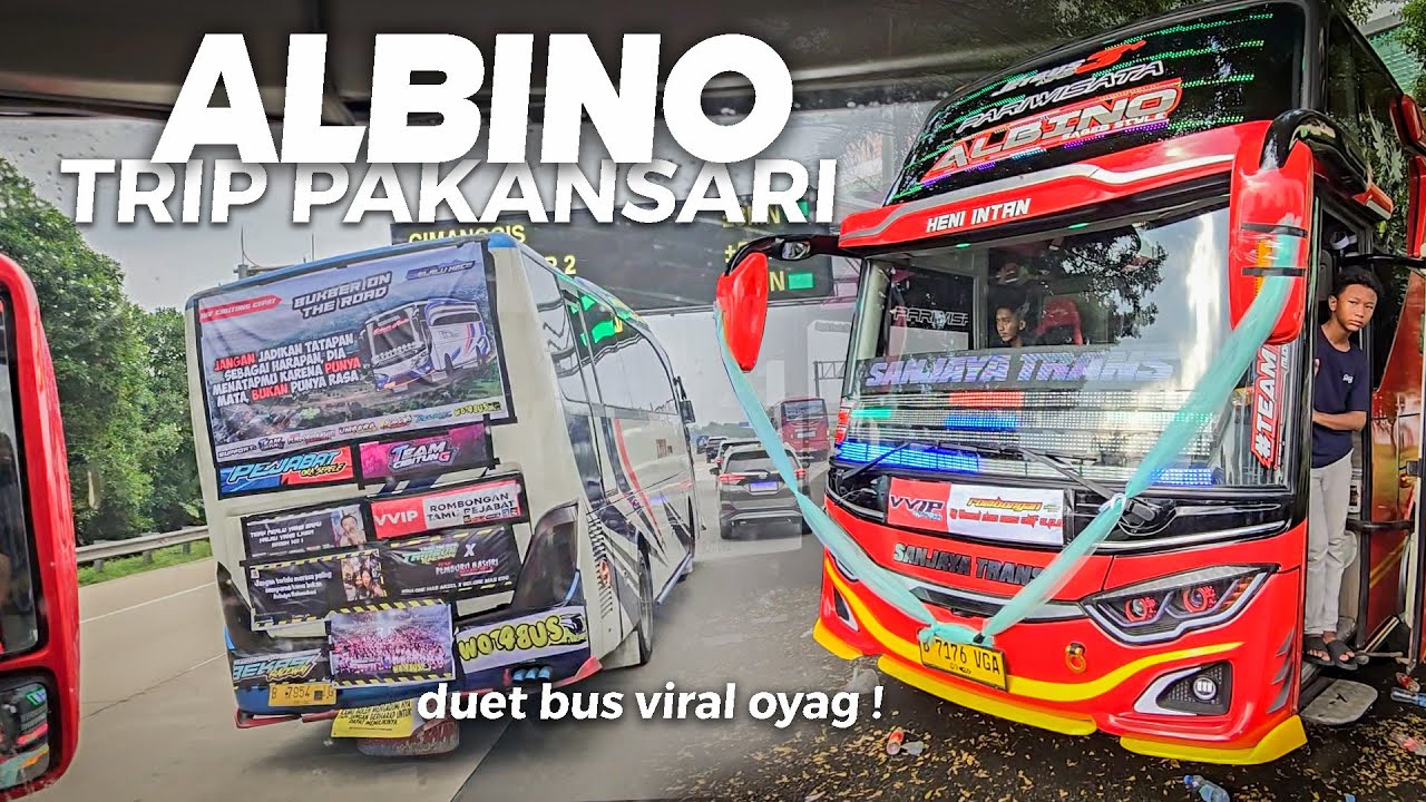 [ SUPER SERU KALO NAIK UNIT SATU INI ! ] BERGOYANG BERSAMA ALBINO DI PAKANSARI RACE ! Trip Part 2