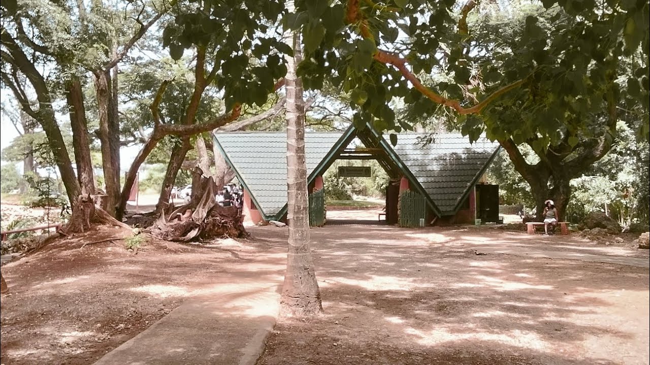 Glimpse of Kenya: Haller Park, Mombasa Kenya Africa 