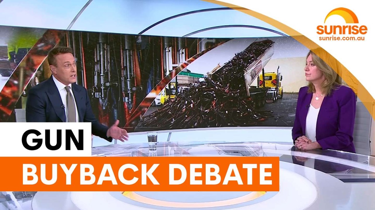 NSW gun buyback sparks political debate | Sunrise